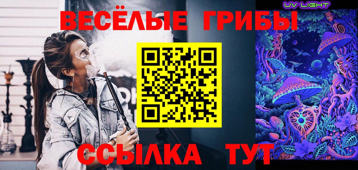 Галлюциногенные грибы Psilocybine cubensis  наркотики  Фрязино  Вход с VPN 