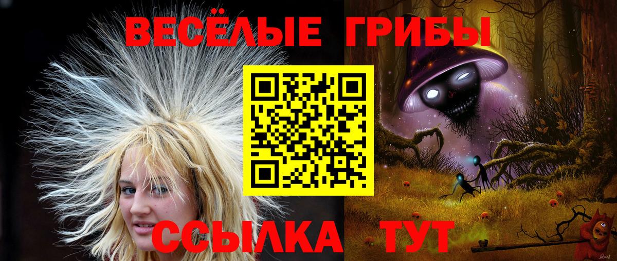 Псилоцибиновые грибы Psilocybe Фрязино